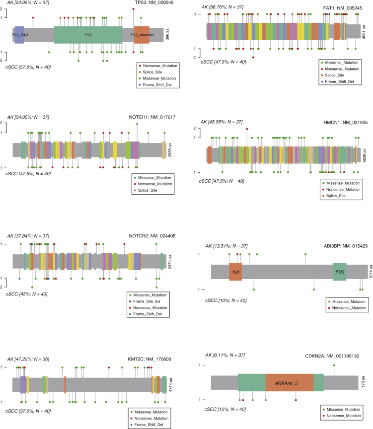 Supplementary Figure S2