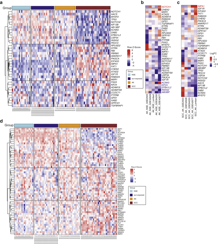 Figure 6