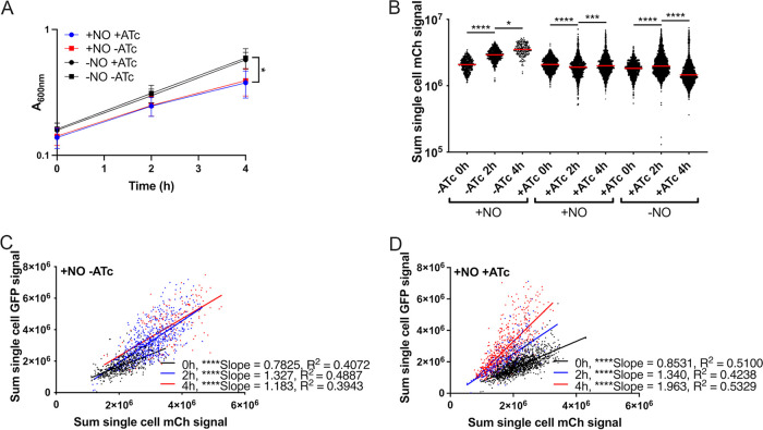 FIG 3