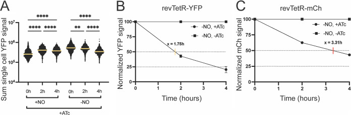 FIG 7