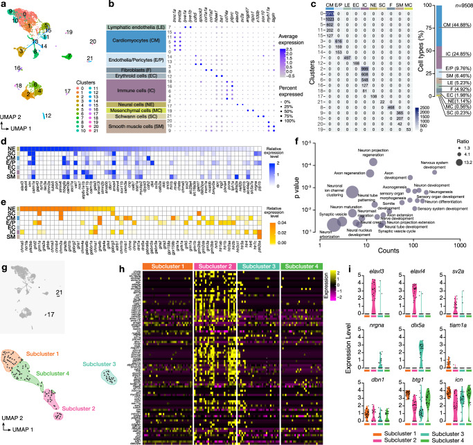 Decoding the molecular, cellular, and functional heterogeneity of ...