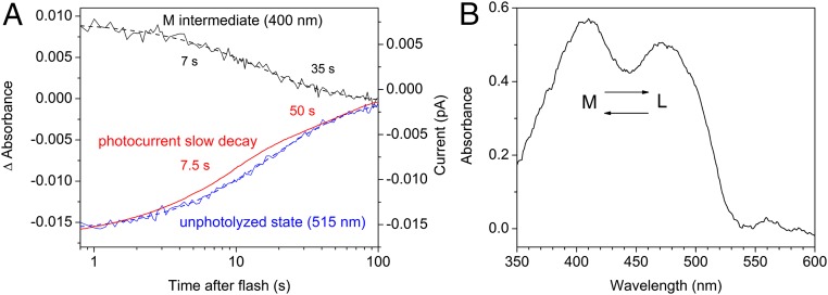 Fig. 6.