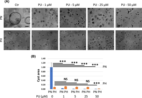 Figure 12.