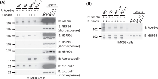 Figure 10.