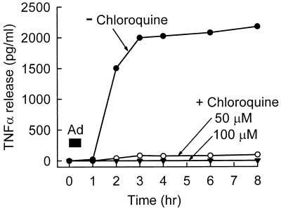 FIG. 11