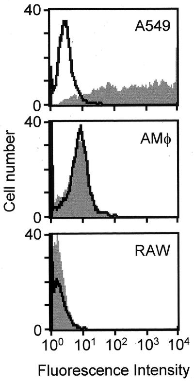 FIG. 8