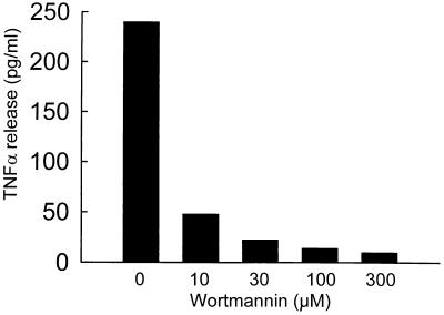 FIG. 10