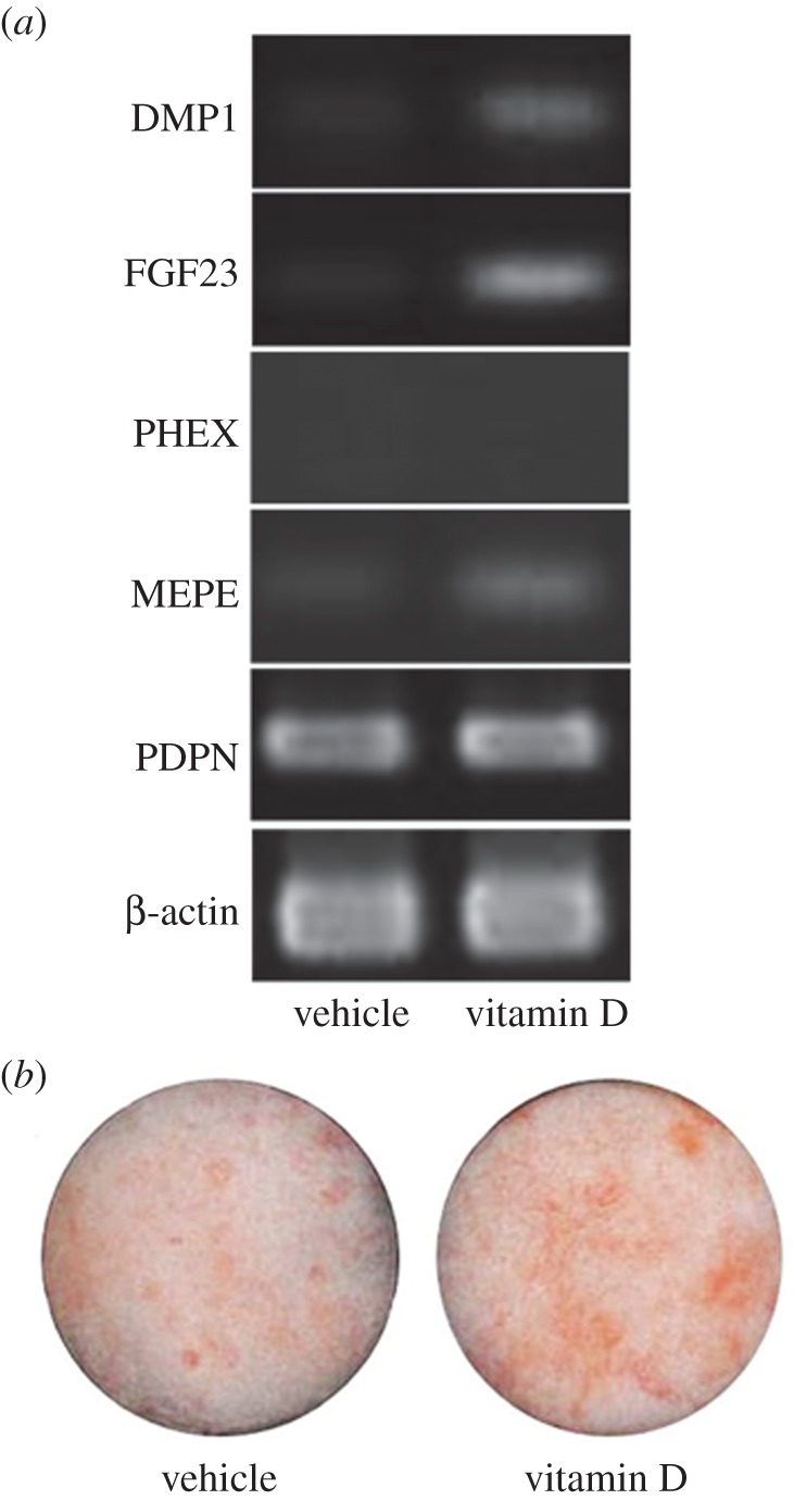 Figure 4.