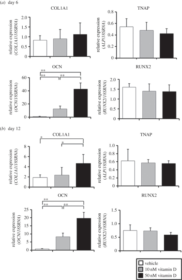 Figure 2.