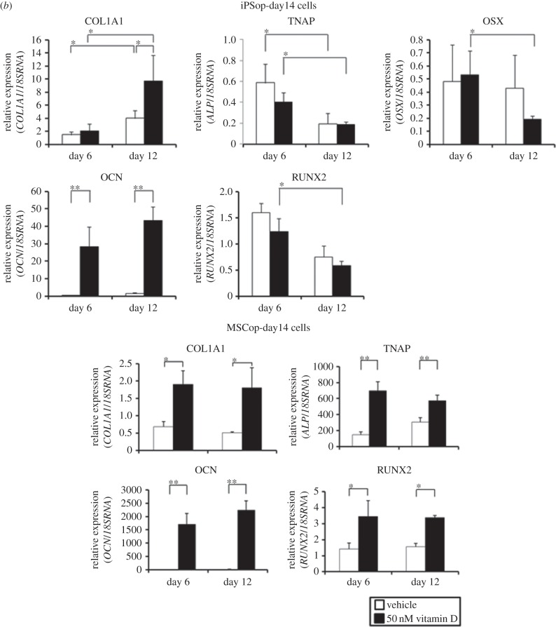 Figure 3.