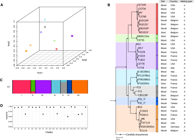 Figure 1