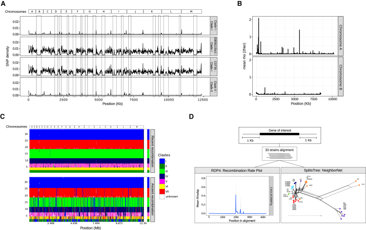 Figure 4