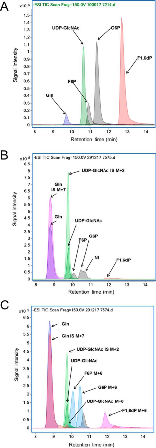 Figure 2.