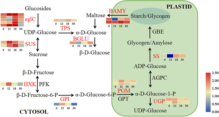 Figure 5