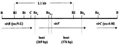 FIG. 1