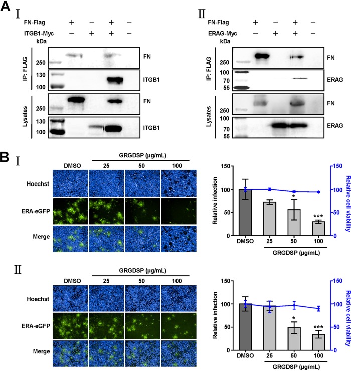 FIG 6