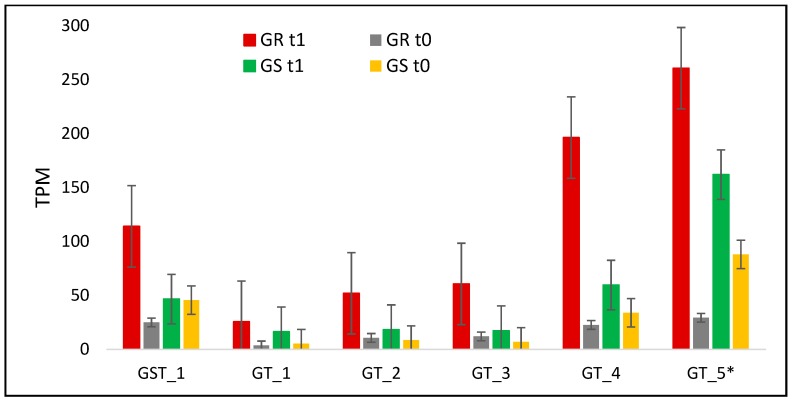 Figure 7