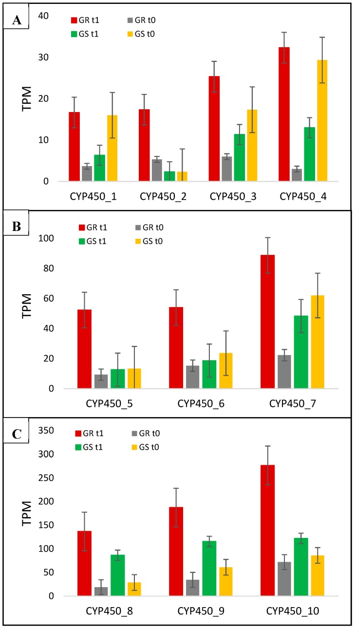 Figure 6