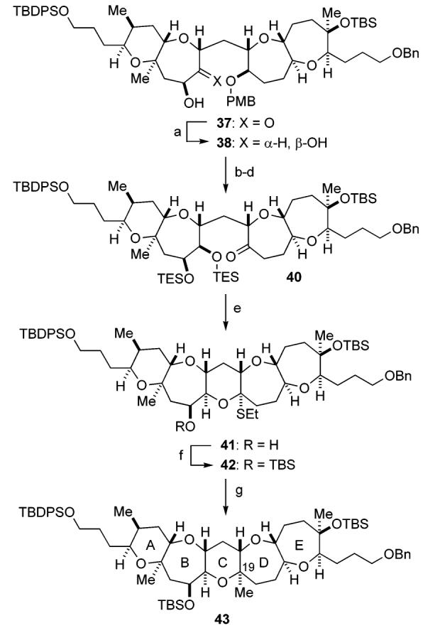 Scheme 6