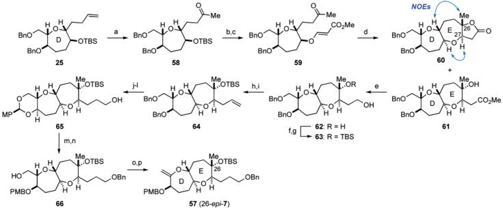 Scheme 8