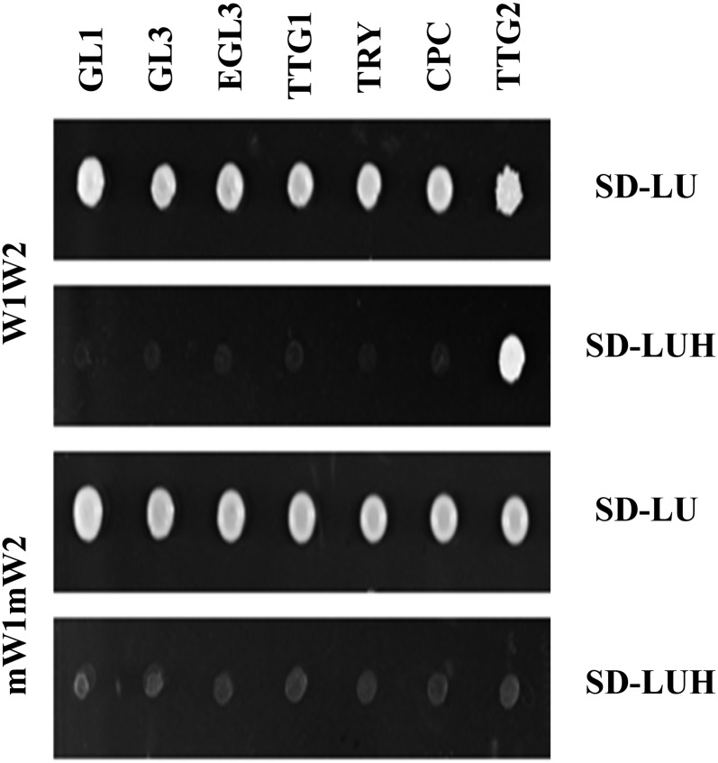 Figure 5.