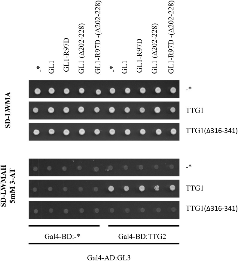 Figure 10.