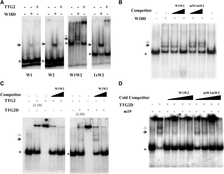 Figure 7.