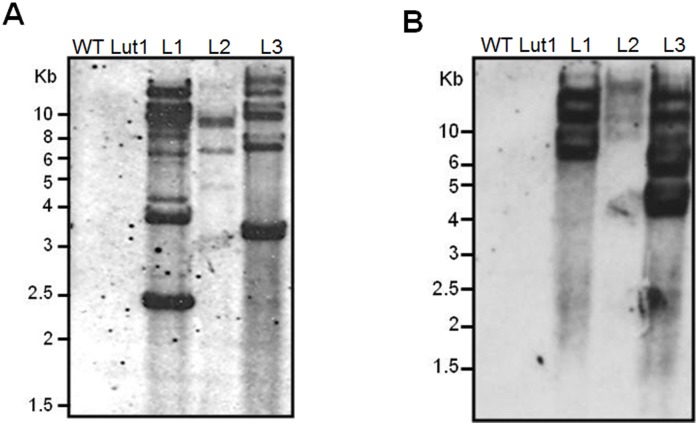 Fig 4