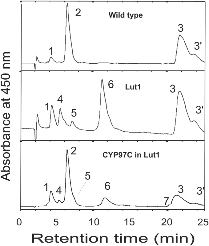 Fig 6