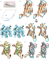 Crystallographic studies of T. forsythia LKK.