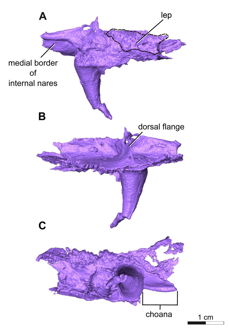 Fig 10