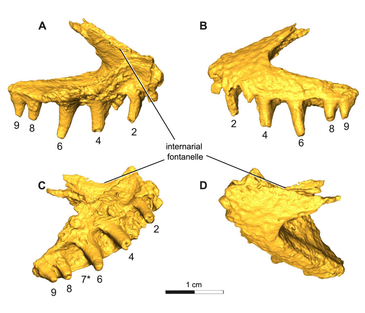 Fig 4