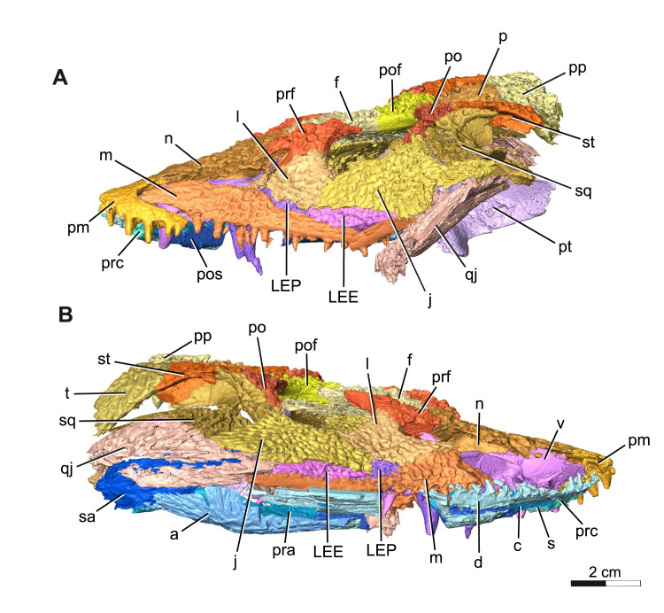 Fig 3