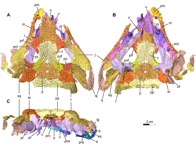 Fig 2