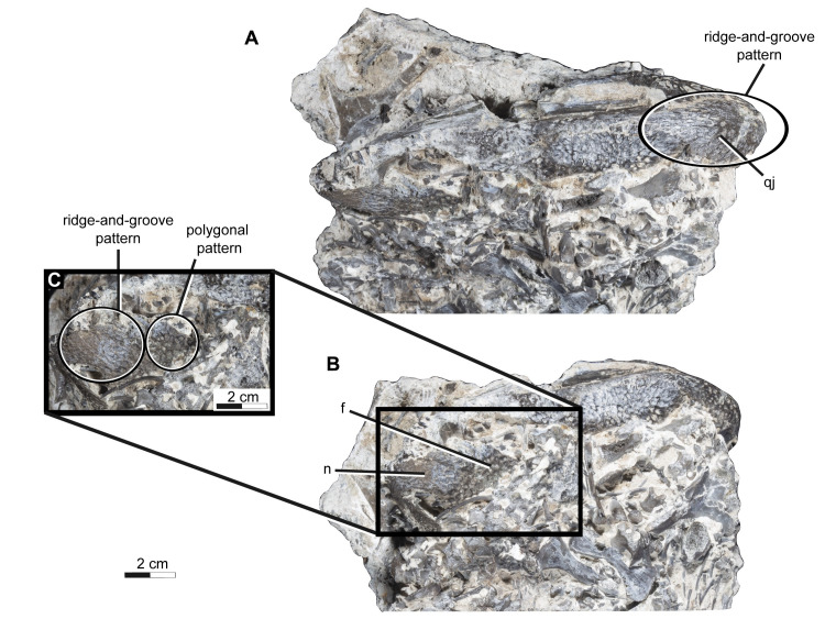 Fig 12