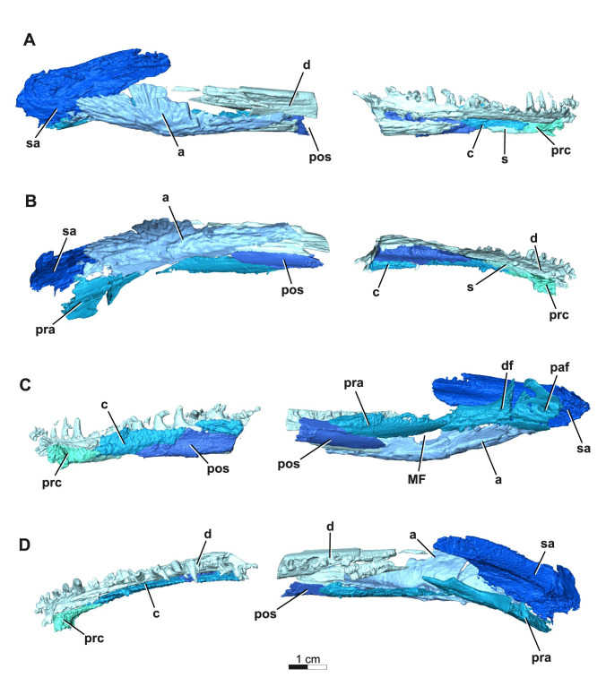 Fig 11