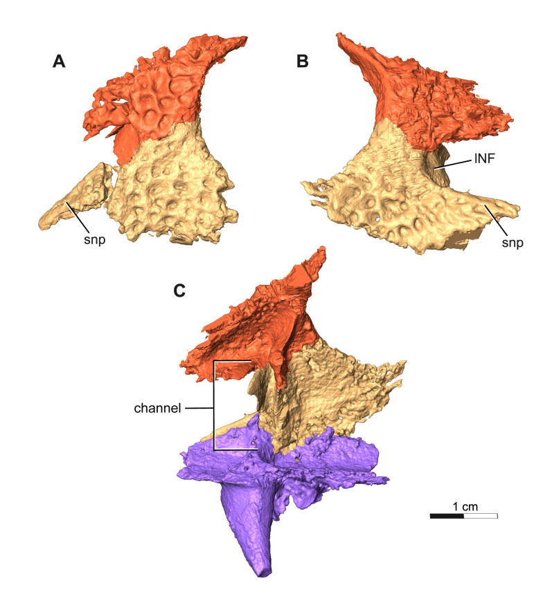 Fig 6