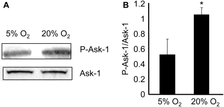 Figure 5