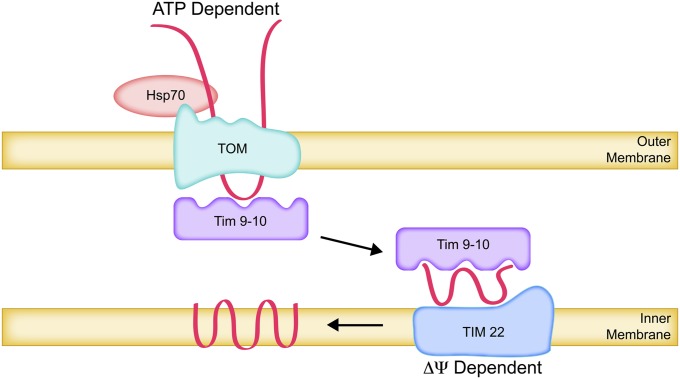 Figure 6 