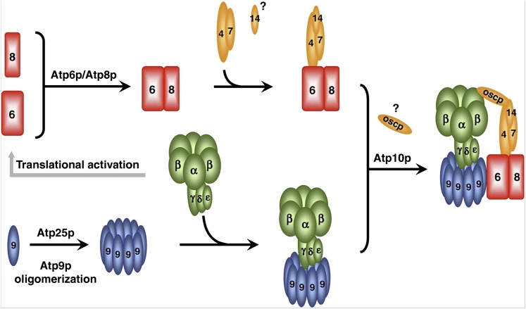 Figure 10 