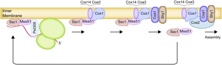 Figure 9 