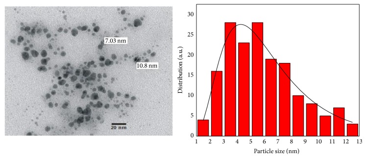 Figure 5