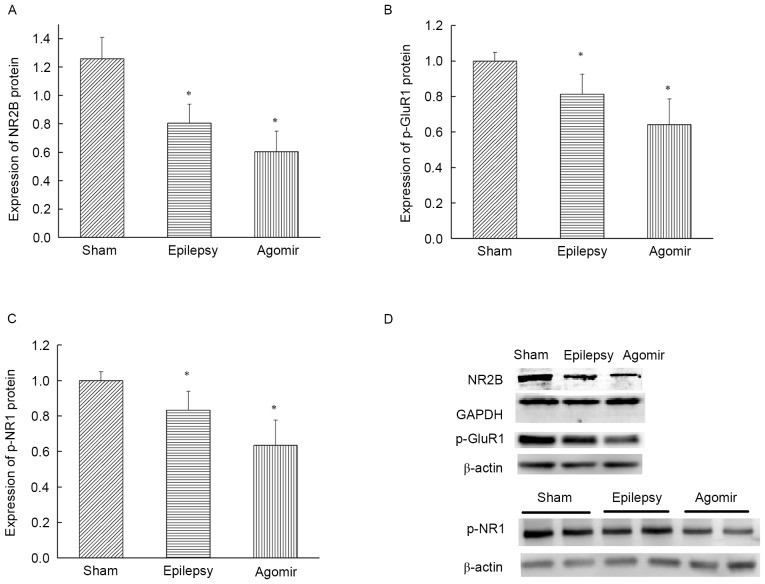 Figure 5.