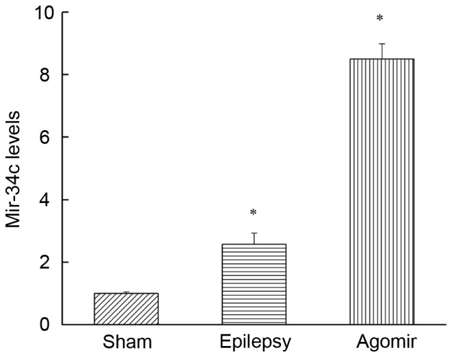 Figure 2.