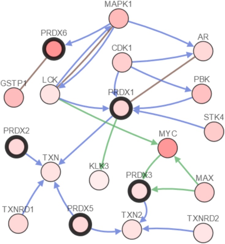 Figure 7