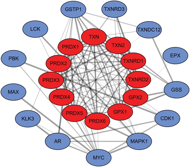 Figure 10