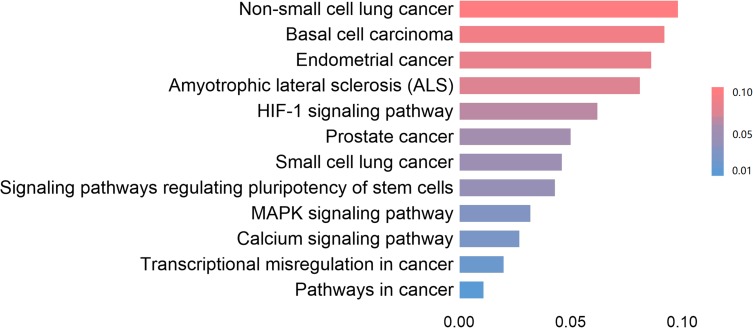 Figure 11