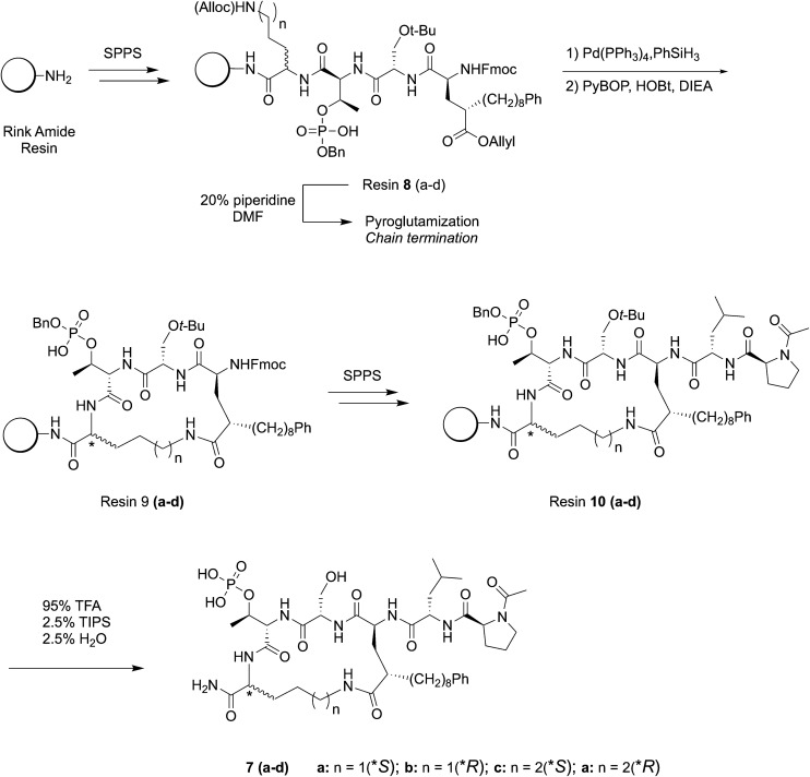 Scheme 2