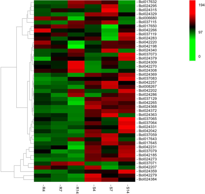 FIGURE 3