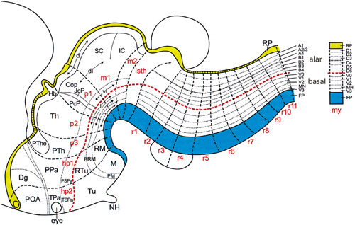 Figure 13